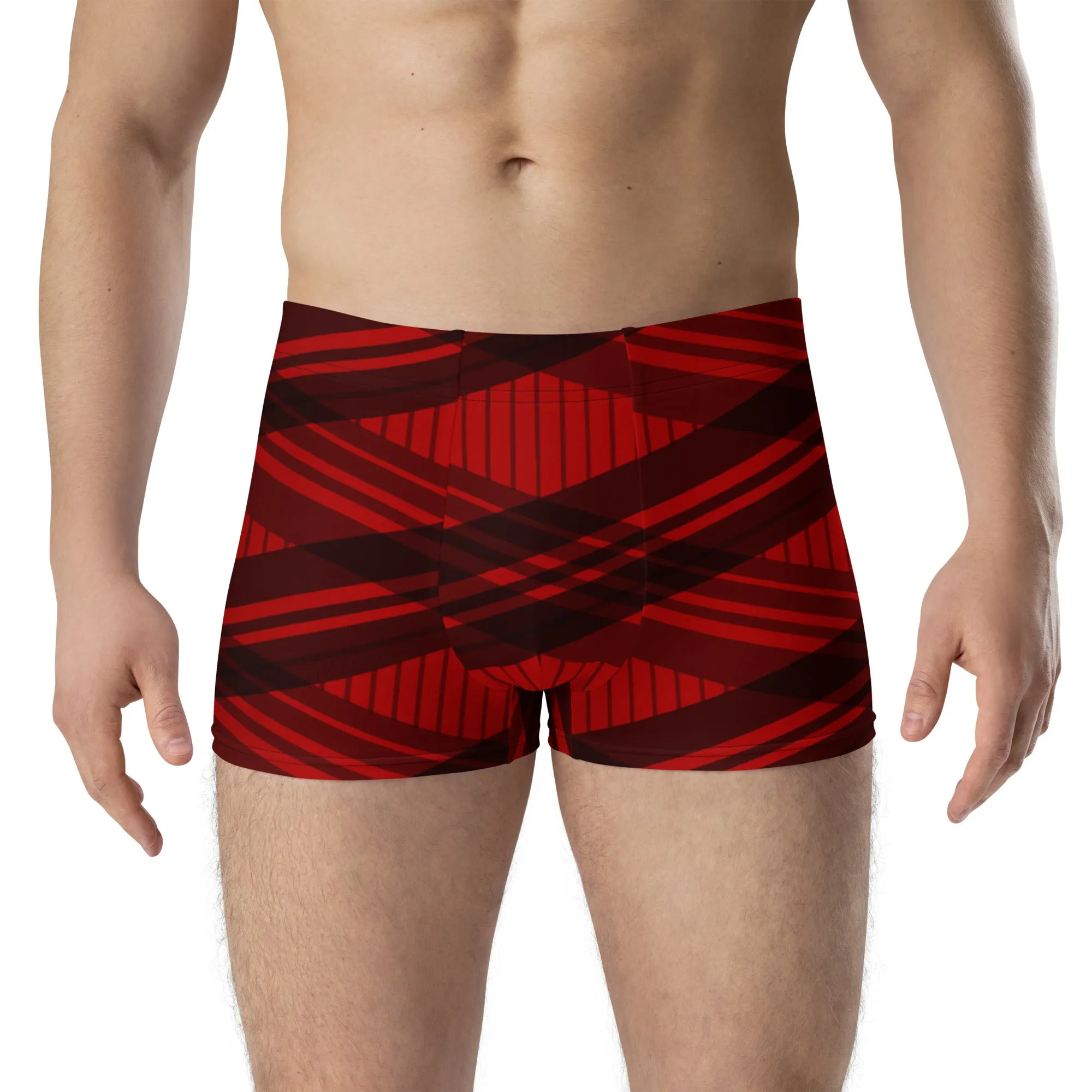 Black and red stripes boxer briefs for men, lioness-love