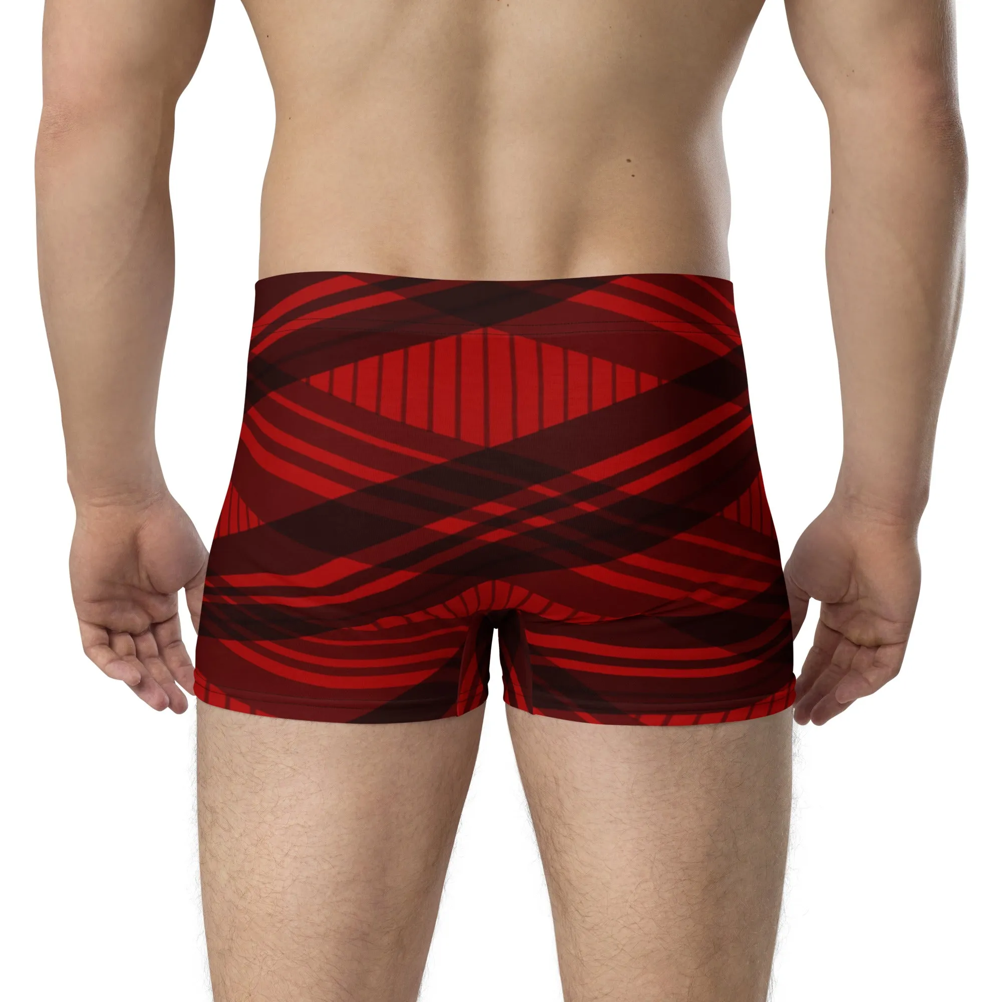 Black and red stripes boxer briefs for men, lioness-love