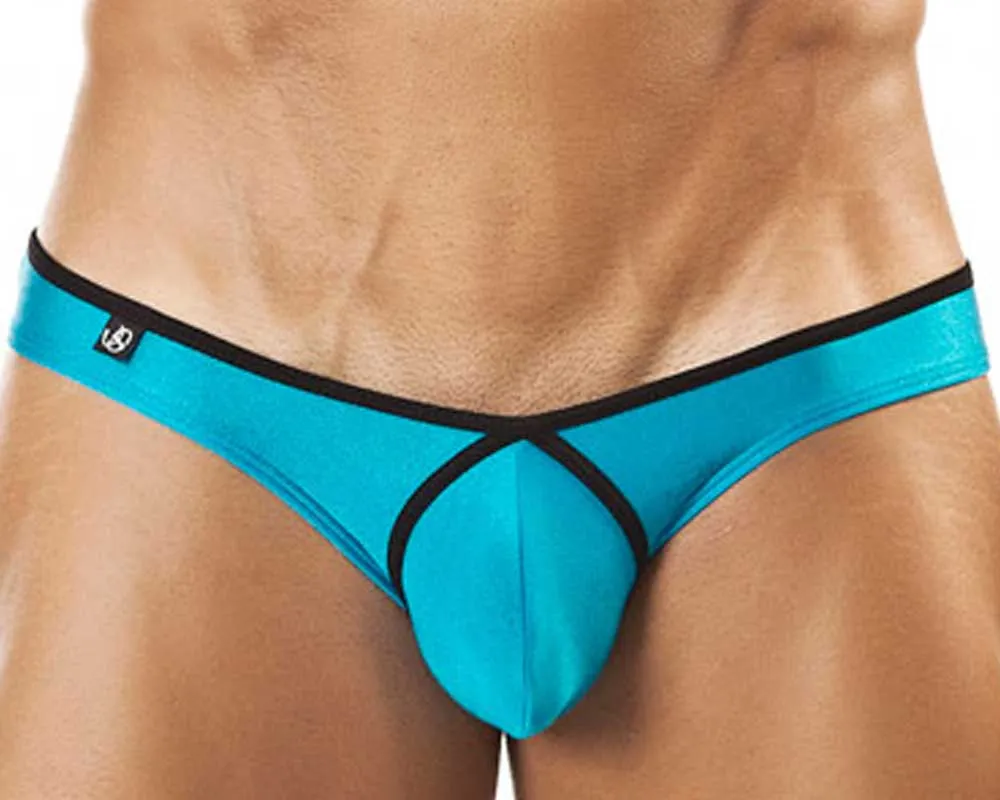 Joe Snyder JSPF01  Pride Frame Bikini