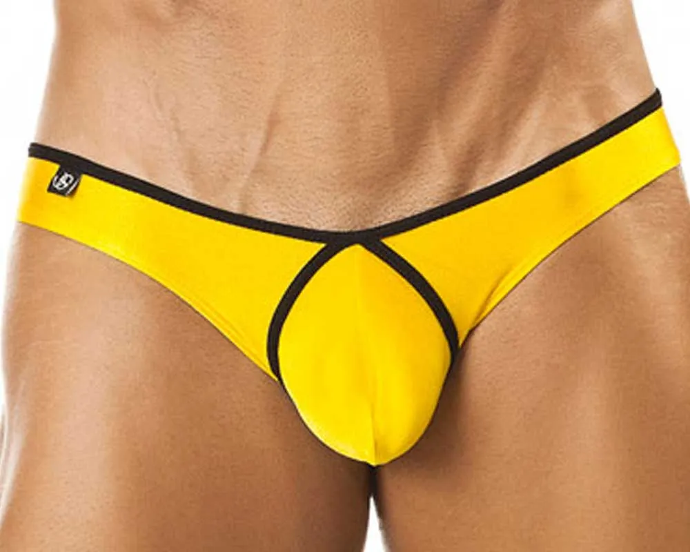 Joe Snyder JSPF01  Pride Frame Bikini