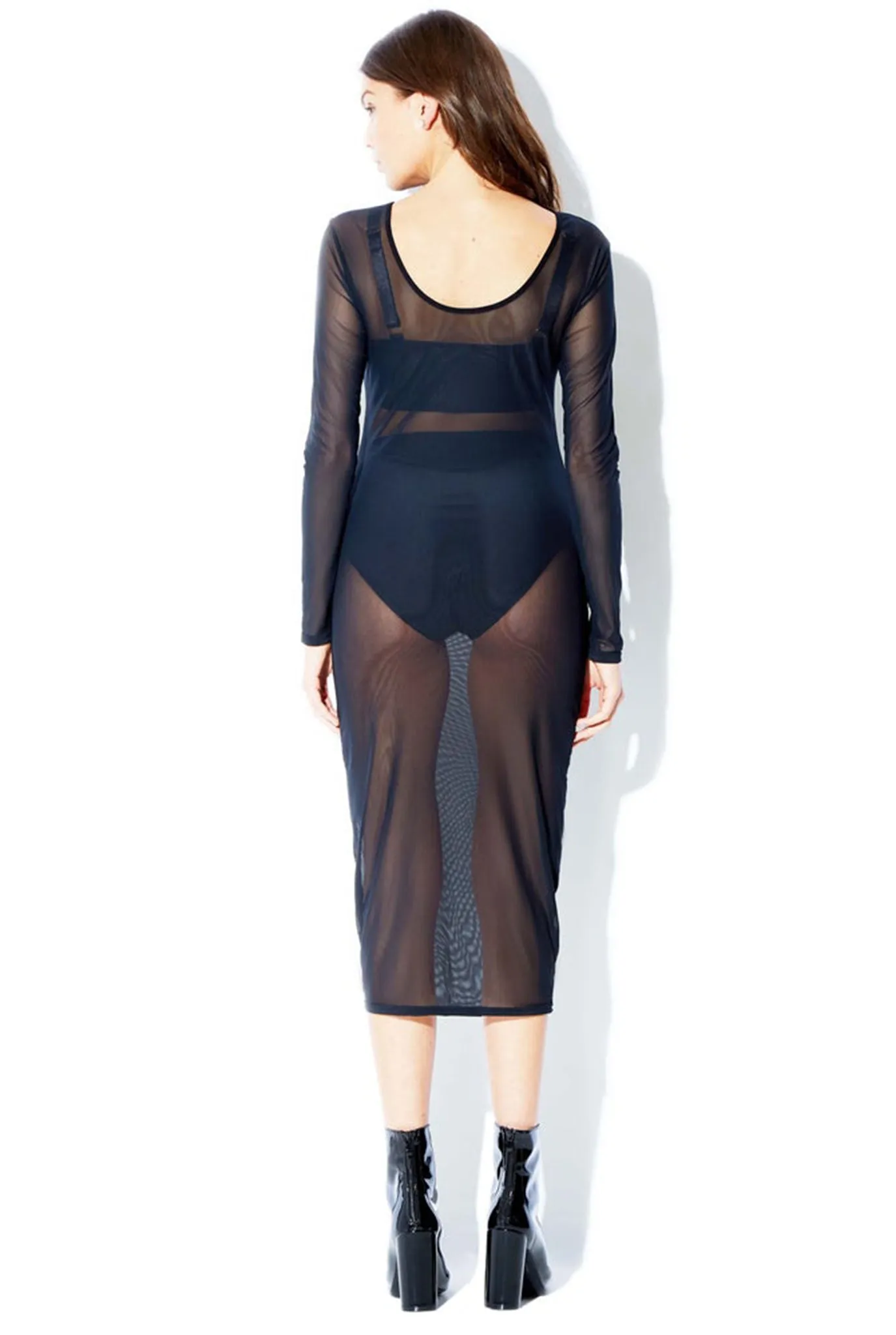 Long Sleeve Allover Sheer Dress