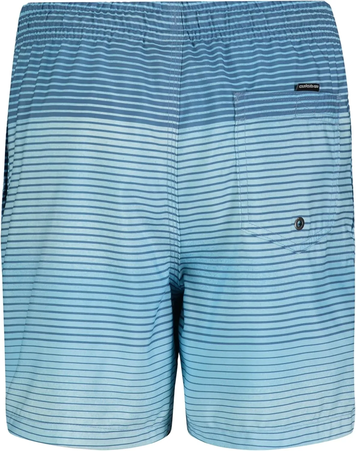 Quiksilver Boys' Volley Swim Trunks with UPF 50  Sun Protection, Quick Dry Bathing Suit Shorts