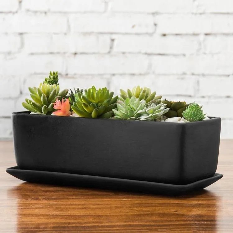 Rectangular Ceramic Succulent Planter with Saucer, Black 14 Inches