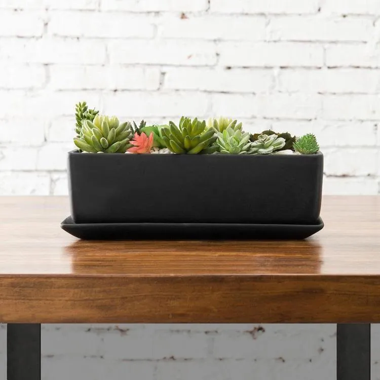 Rectangular Ceramic Succulent Planter with Saucer, Black 14 Inches