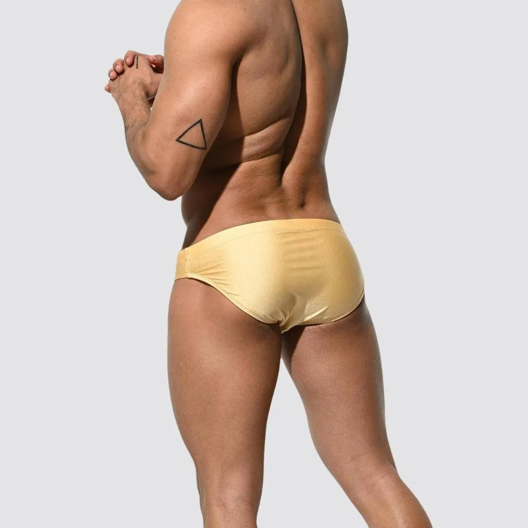 Shimmer Low Rise Swim Briefs